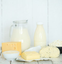 Export Dairy Products