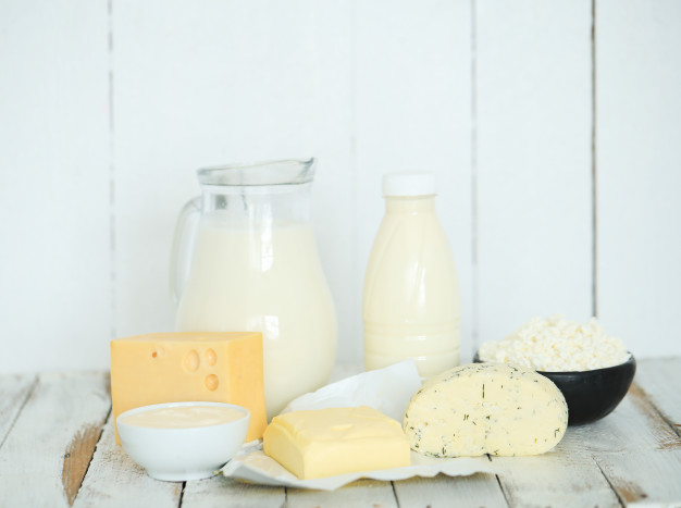 Export Dairy Products