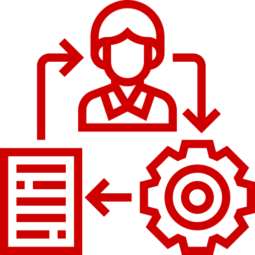 Process Flow