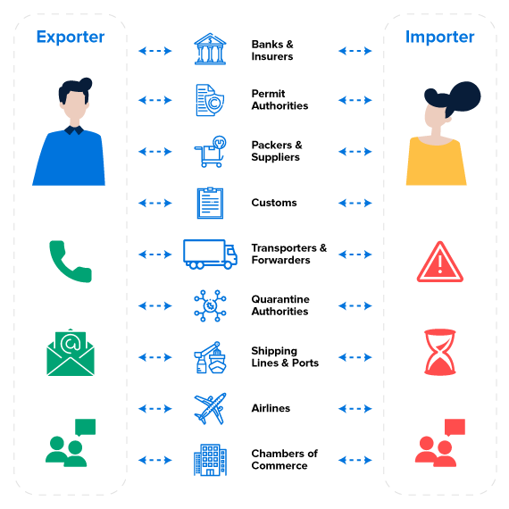 trade supply chain