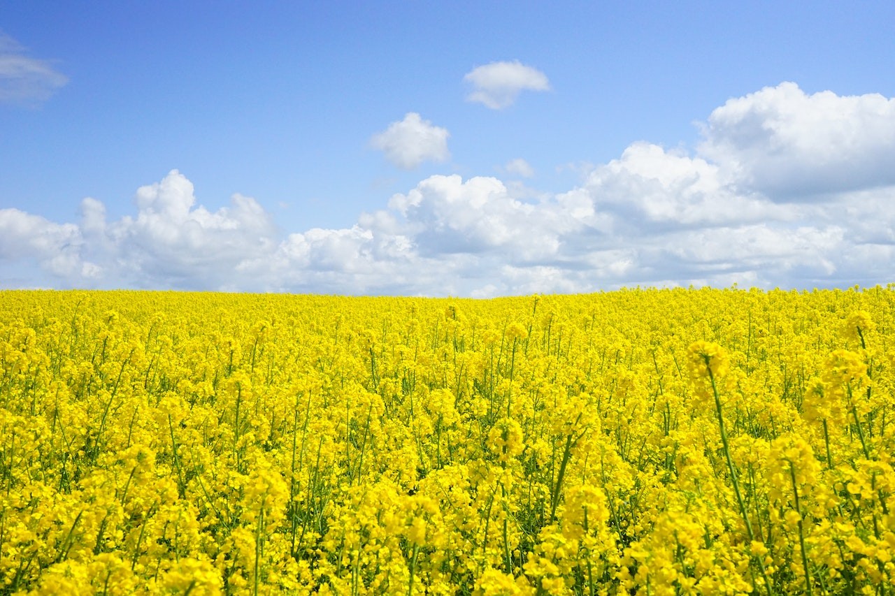 agricultural exporter